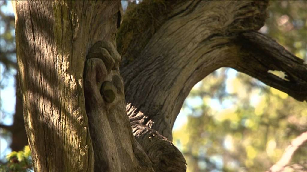 Imagefilm Marktgemeinde Haus im Ennstal