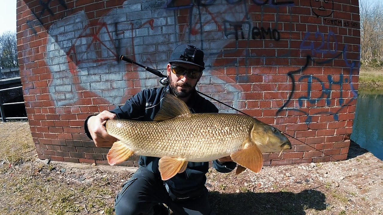 Un tranquillo pomeriggio di PESCA in CANALE - Trago Vib - Fishing Tour Novara
