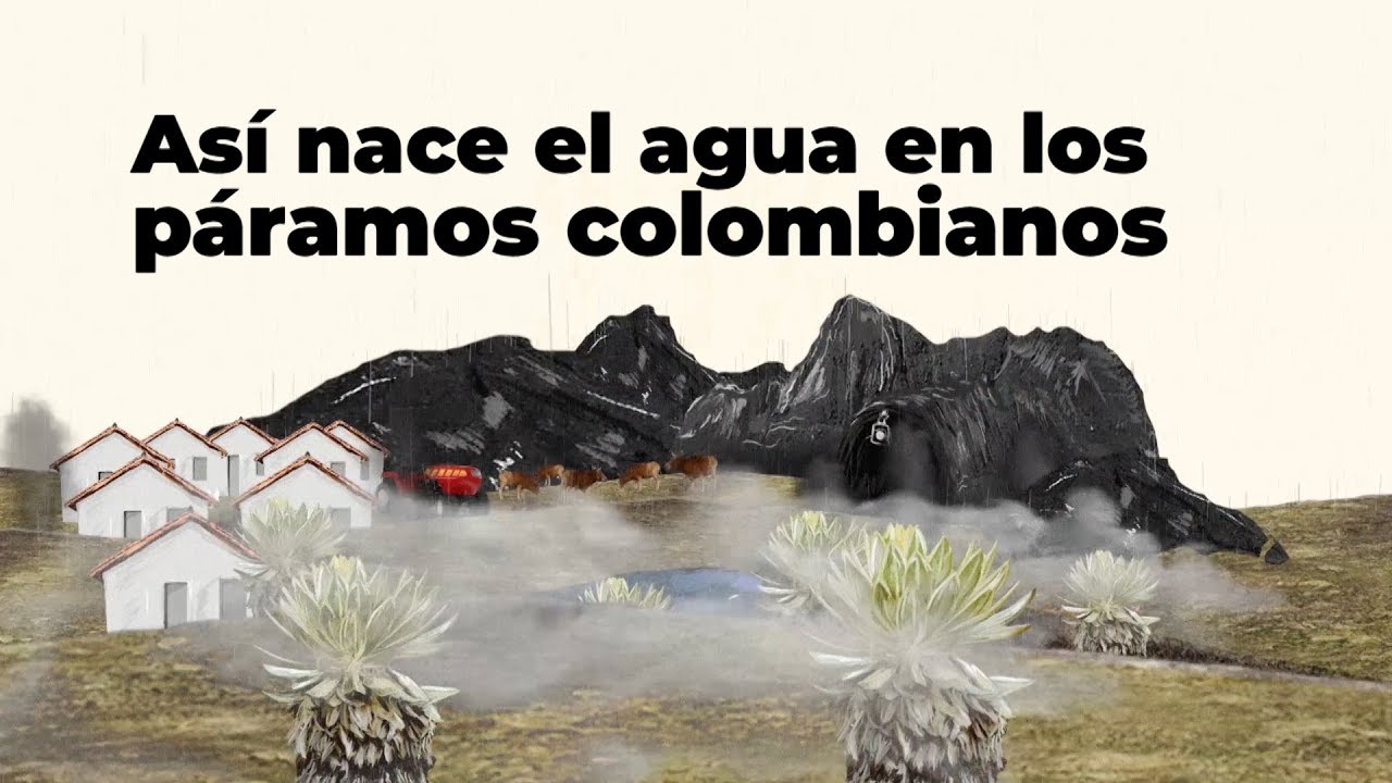 As&iacute; nace el agua en los p&aacute;ramos colombianos | Especiales RCN Radio