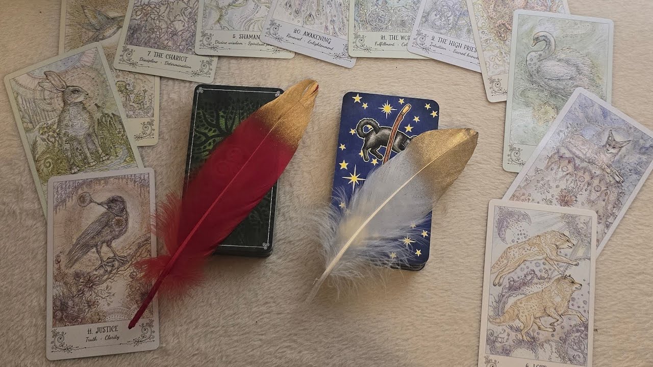💫🦋ESTAS SON SUS VERDADERAS INTENCIONES🔮CONTIGO🦋💫 Tarot interactivo 