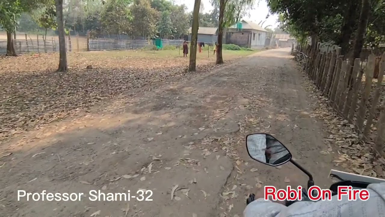 প্রফেসর স্বামী গল্প (Part-32) Professor Shami। Robi On Fire