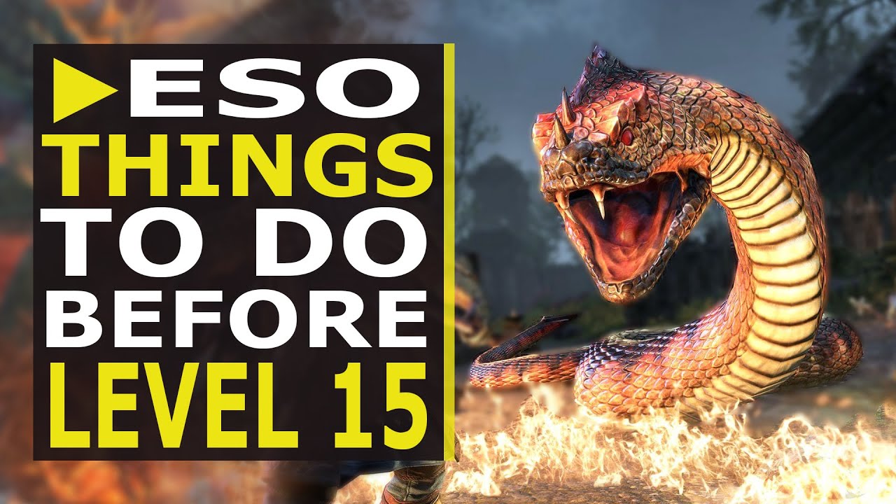 Things You Should do before Level 15 in ESO! Beginner Series Episode 2