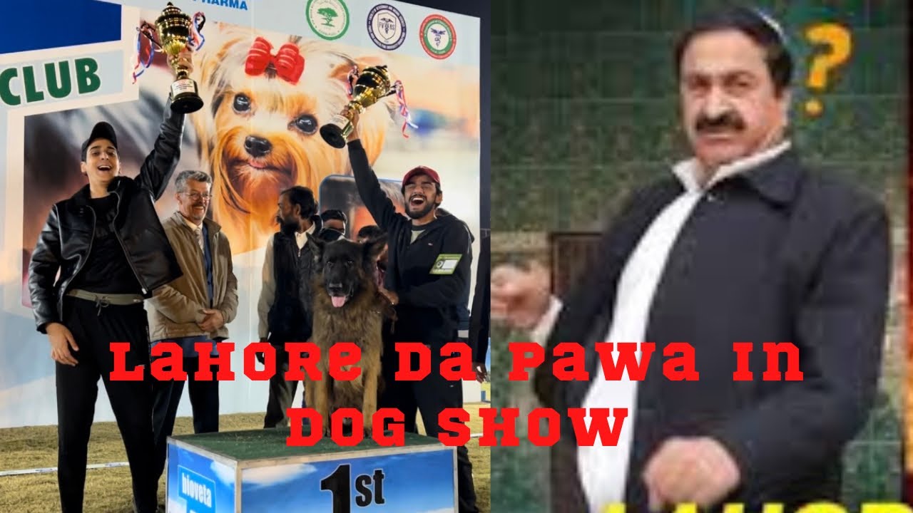 Lahore Da Pawa Akhtar lawa In Dog Show  Arid University Rawalpindi