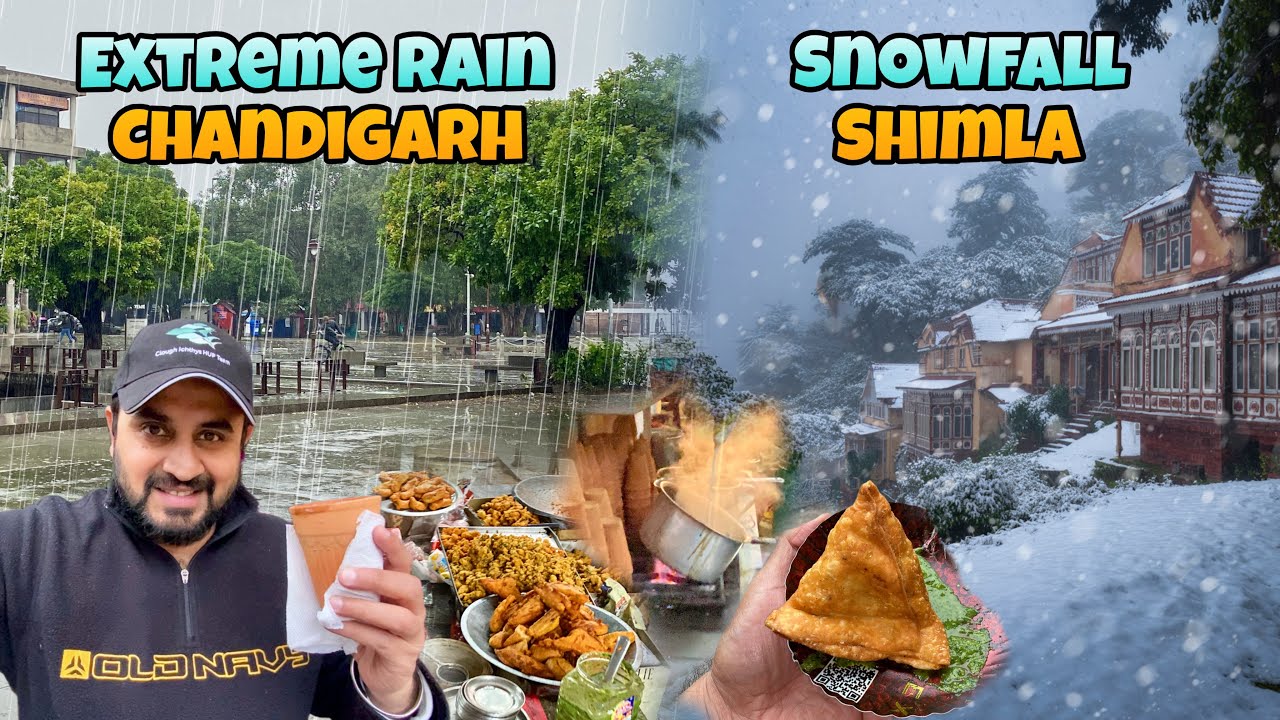 Extreme Rain in Chandigarh today 23/1/26 | Live Snowfall in Shimla today