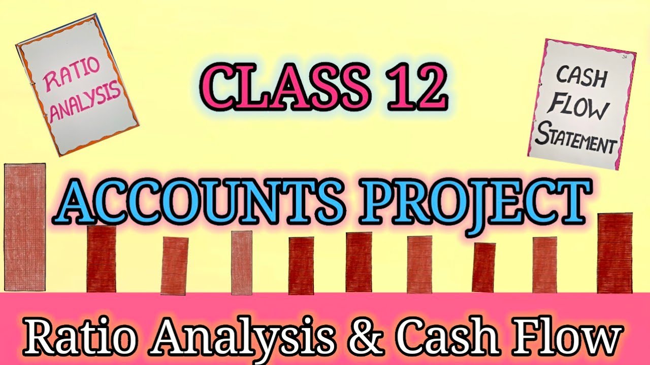 Class 12 Accounts Project/Financial Statement, Ratio Analysis & Cash Flow Statement/Accounts Project