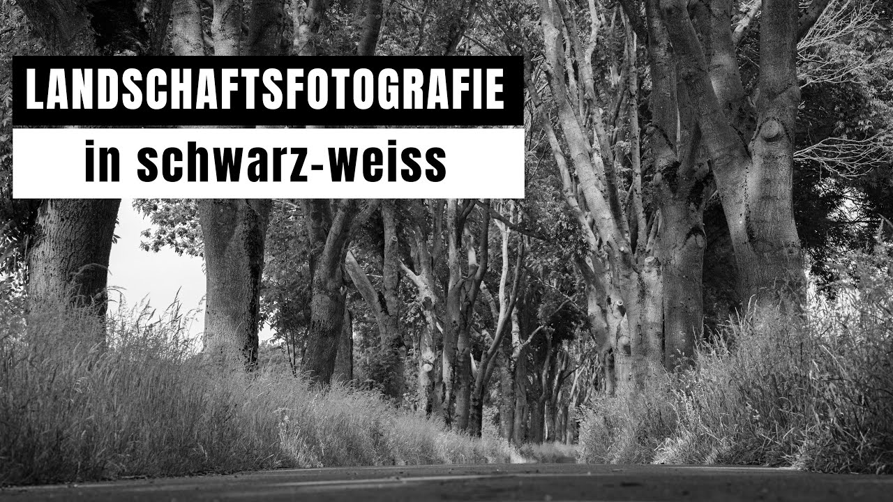 Schwarz-Weiss | Landschaftsfotografie | Optimale Bedingungen. Ich habe Lust auf schwarzweiss Fotos!