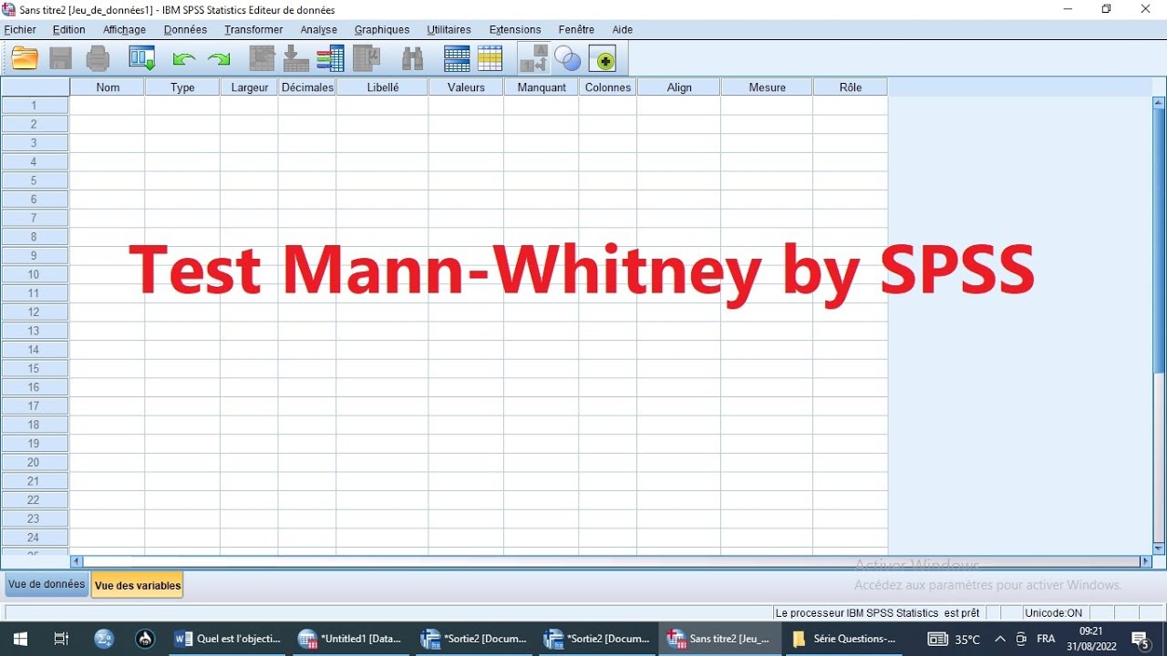 Test Mann Whitney by SPSS