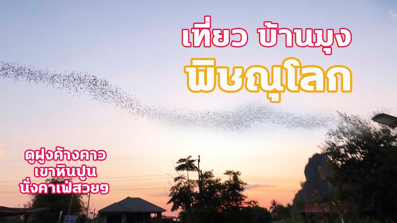 บ้านมุง พิษณุโลก | ค้างคาวนับล้านตัว + เขาสามกษัตริย์ แลนด์มาร์คใหม่ที่ต้องมาเห็นกับตา 2026