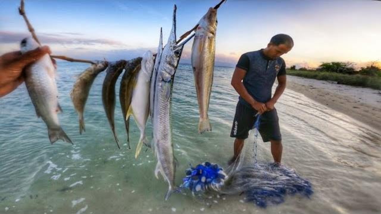 Hunting ikan pagi hari pakai pukat jaring sederhana tidak sampai 1 jam hasilnya Memuaskan !!