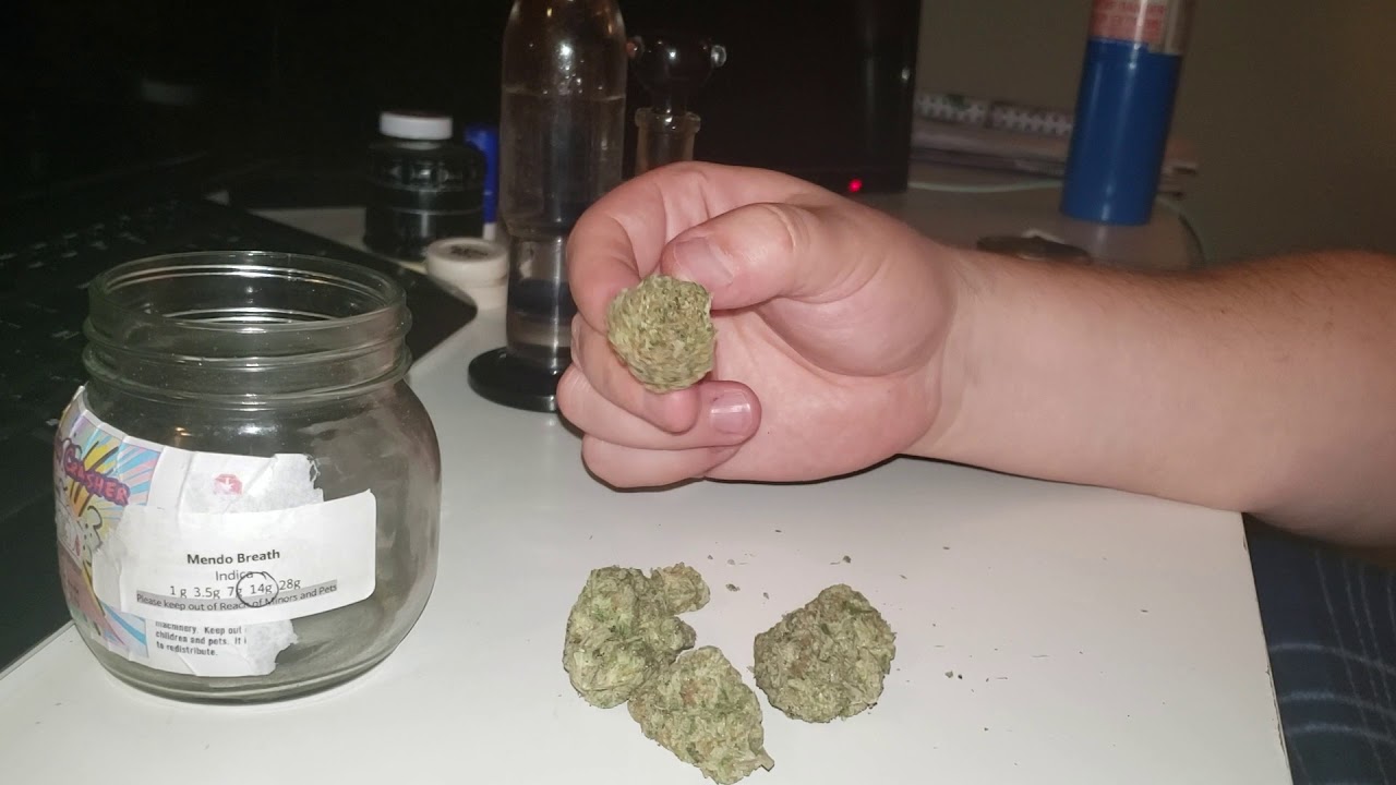 STRAIN REVIEW 048: mendo breath AAAA - Dispensarynearmenow