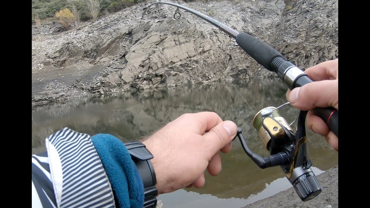 Pescando en la cola de un embalse buscando truchas cebando!!!
