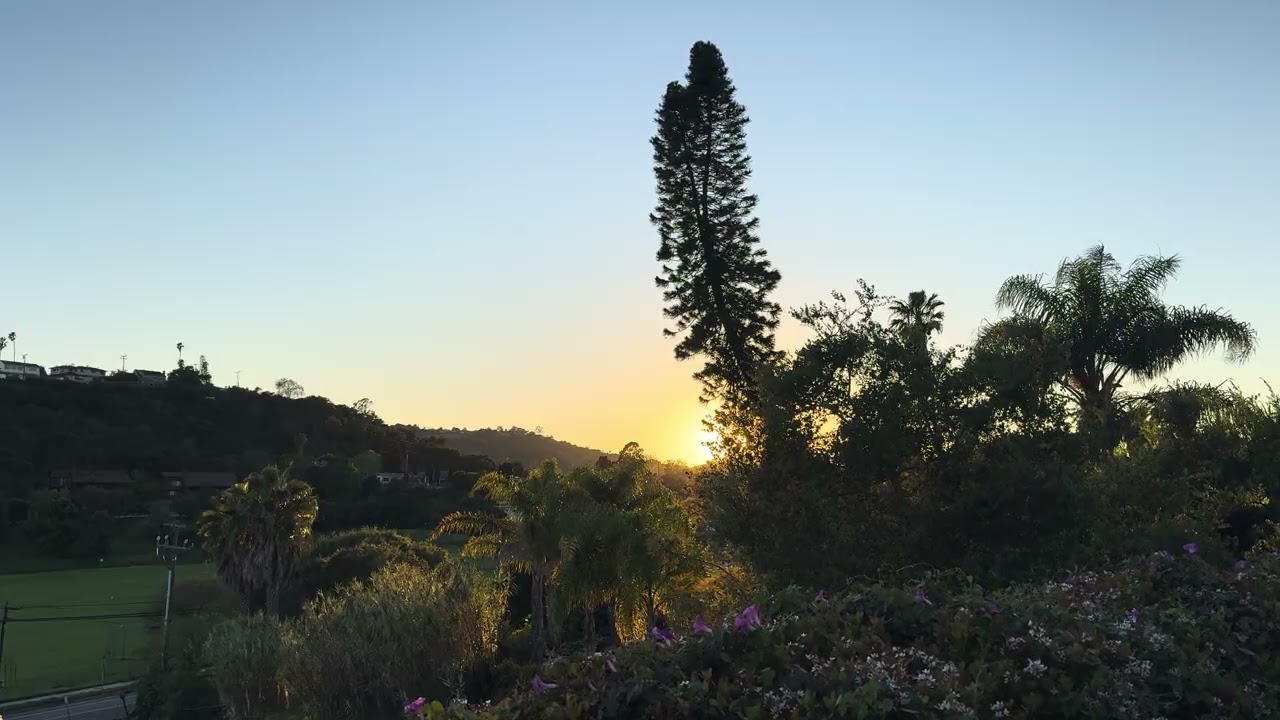 A Backyard Somewhere Sunset No. 2