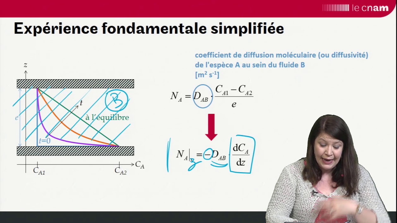 Transferts de matière : la diffusion