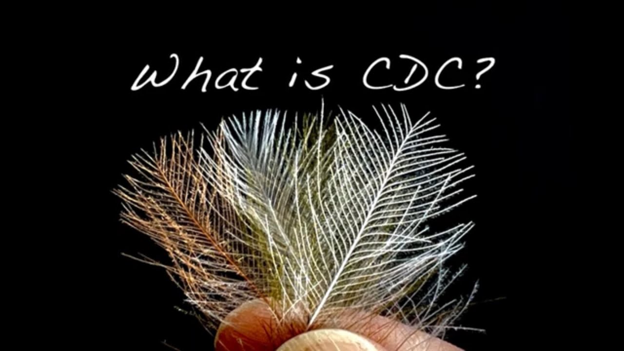 Czym jest CDC? Cul-De-Canard..