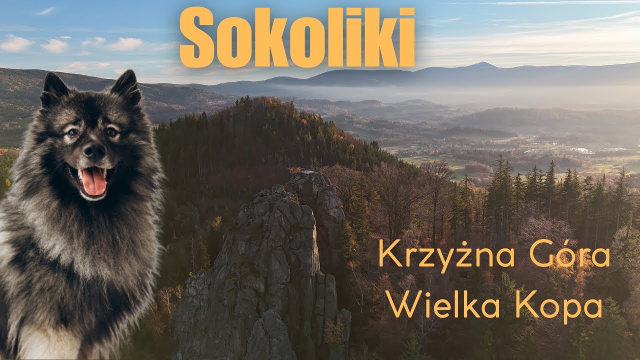 Rudawy Janowickie z psem | Wielka Kopa | Sokoliki | Krzyżna Góra | W góry z psem | Trekking z psem