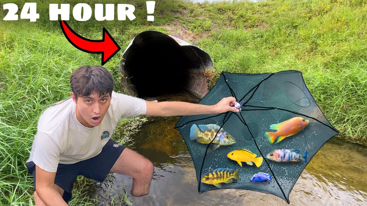 24 HOUR FISH TRAP AT HIDDEN TUNNEL!