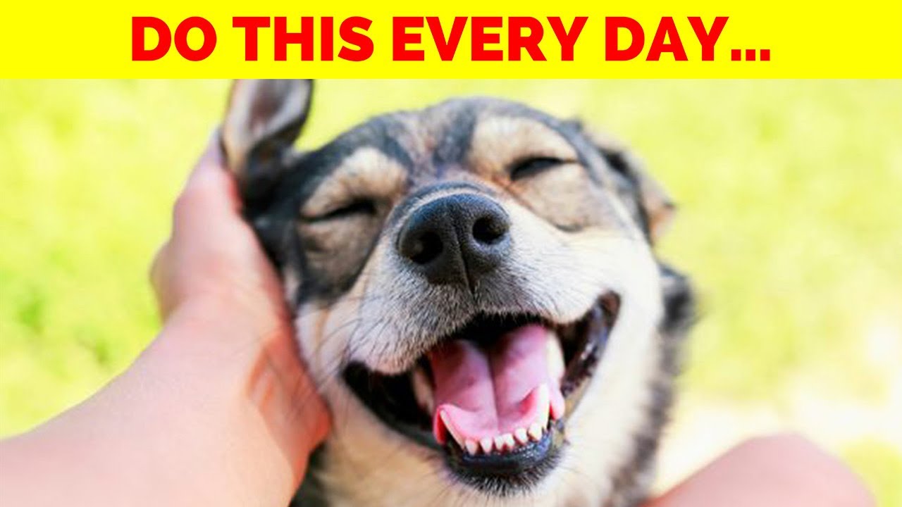 11 Scientifically Proven Ways to Deepen Your Bond with Your Dog