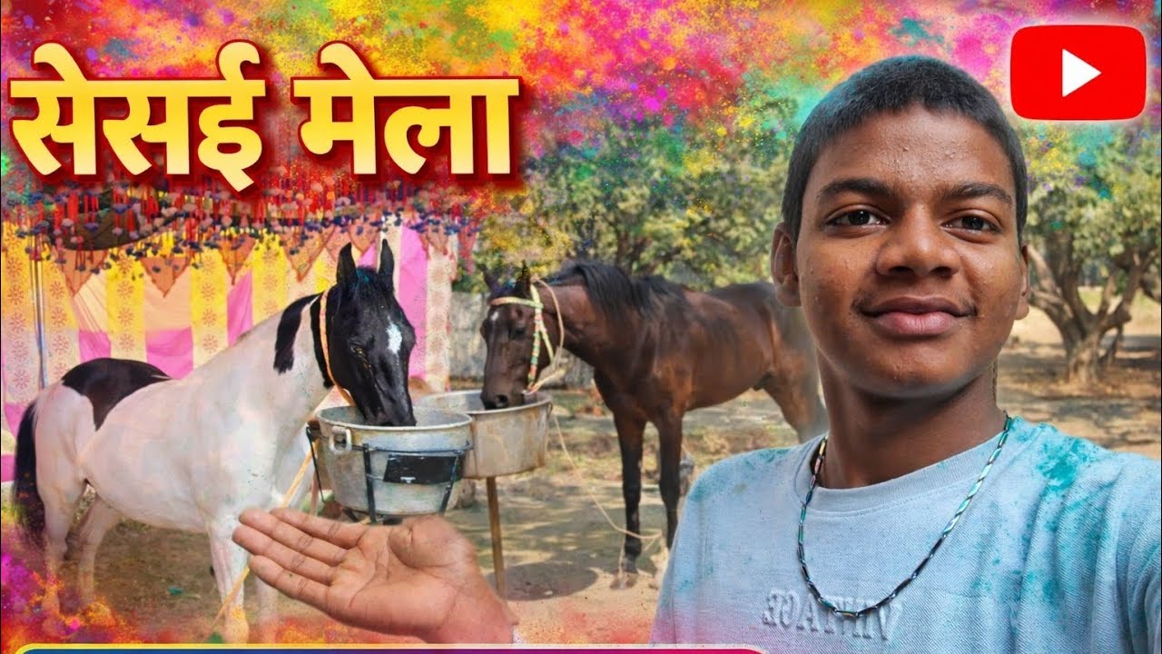 सिसई मेला Holi के ढिन का video #viral #long #video #horse #shortvideos #trending #animals #horse 