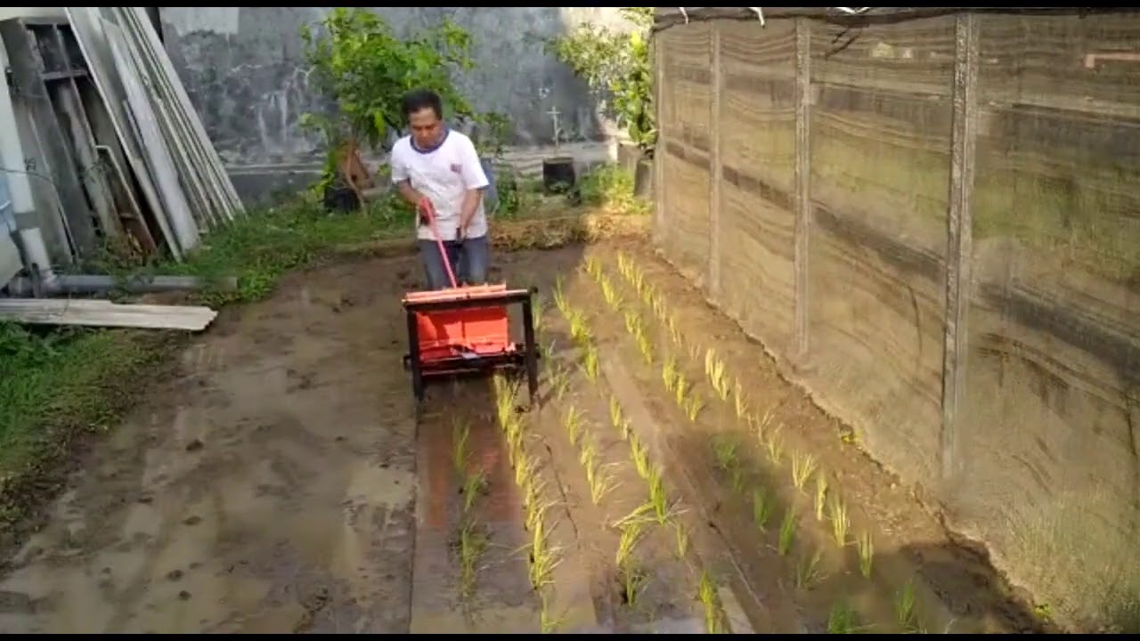 MESIN ALAT TANAM PADI MANUAL BUAT SENDIRI, CEPAT, KECIL DAN RINGAN
