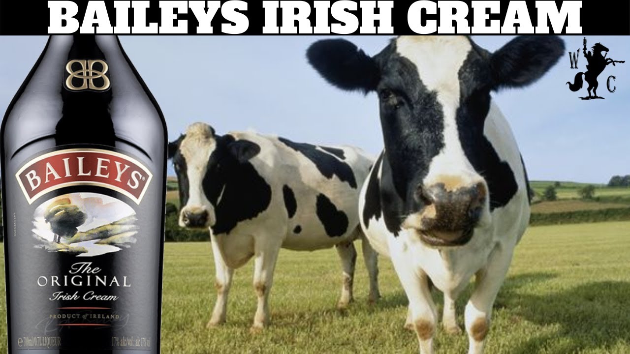 Baileys Irish Cream Liqueur Review (The Original)