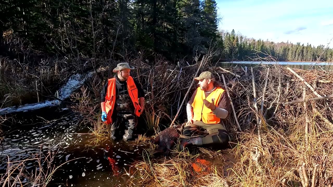 Rencontre avec un Biologiste-Trappeur, 4K