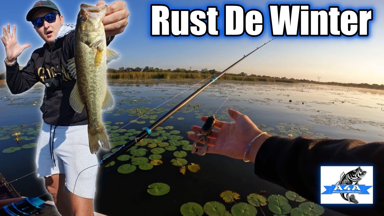 TOP WATER Bass at RUST DE WINTER (A4A - Leg 3)