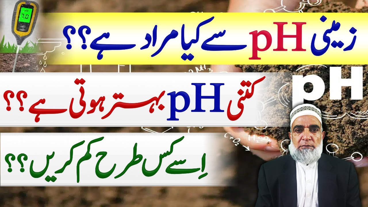 What is pH of Soil || How to improve the value of pH of Soil || Crop Reformer