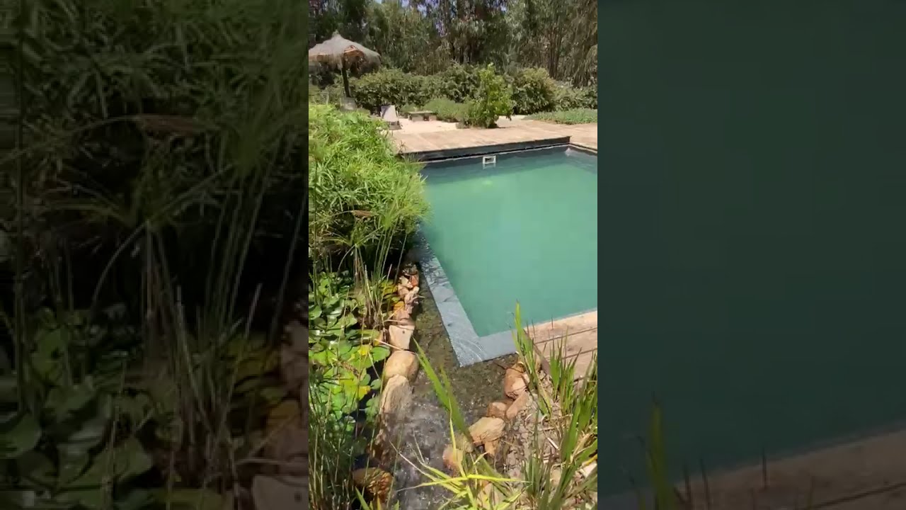 Bio Piscina natural sin cloro, tratamiento ecológico