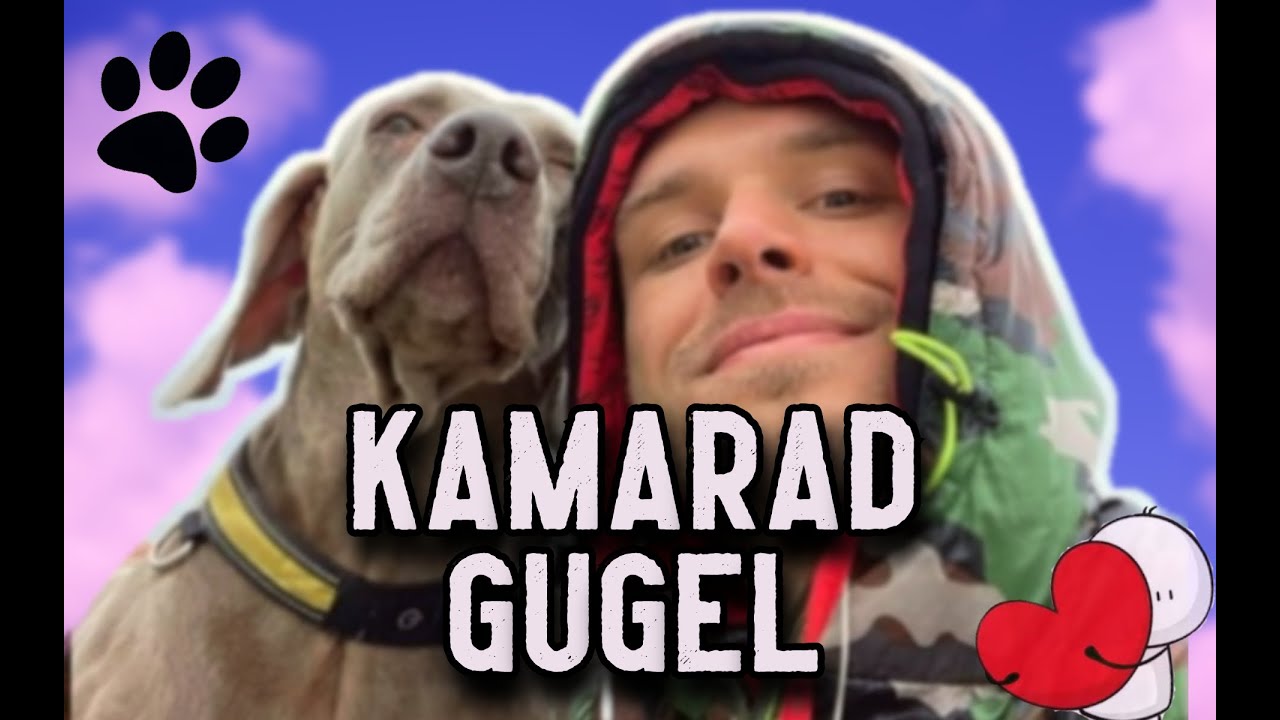 RESTT - REAL TALK | PATŘÍ PES DOMŮ?