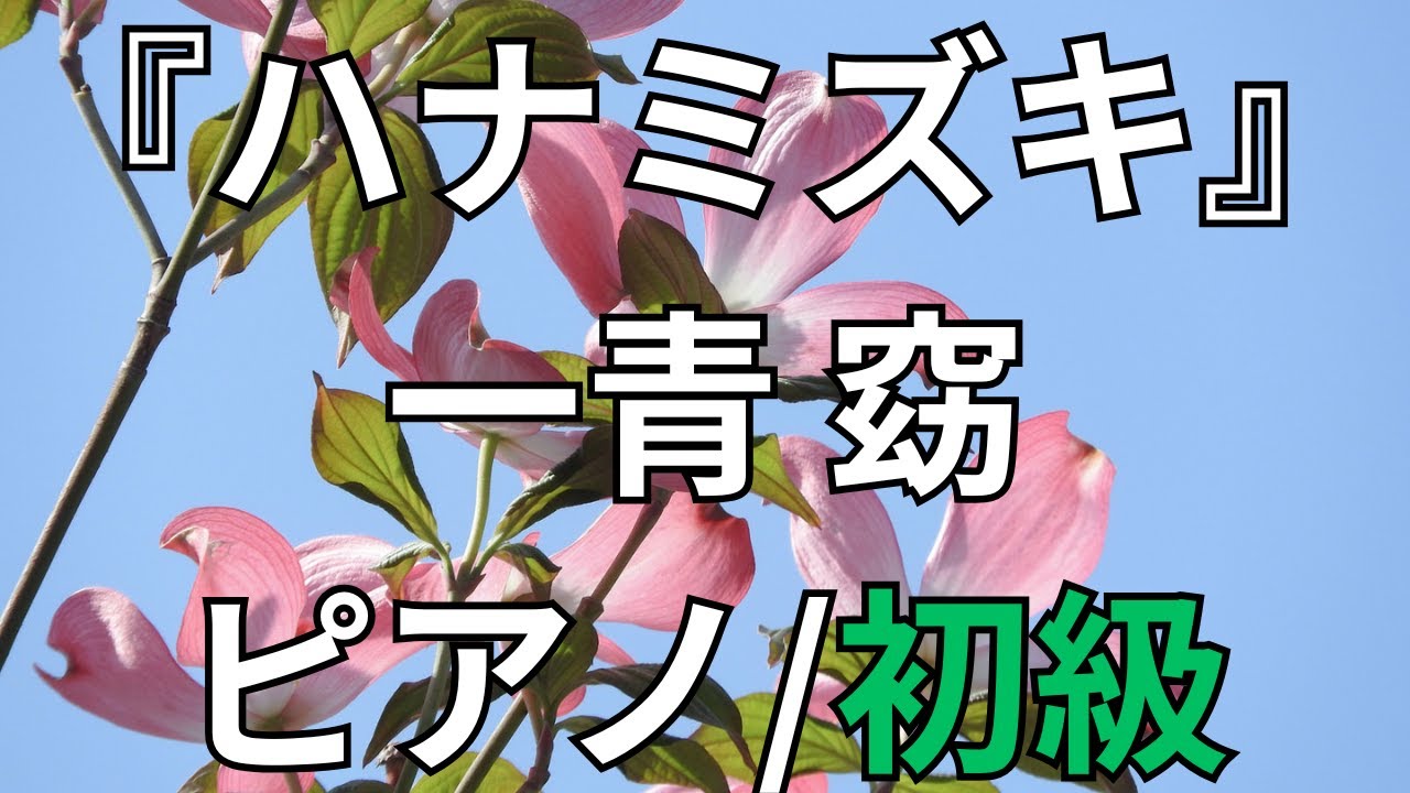 【楽譜】『ハナミズキ』一青 窈 ピアノ/初級