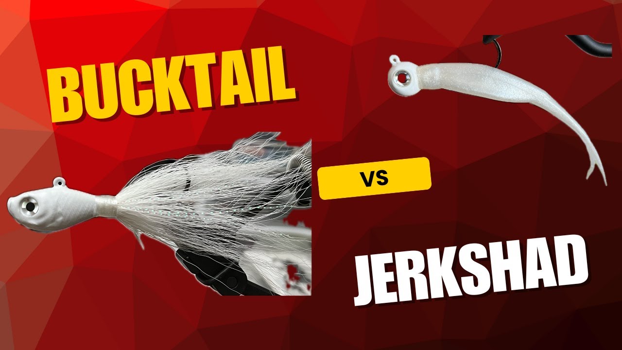 BUCKTAIL VS JERKSHAD FOR FLUKE IN THE BAY