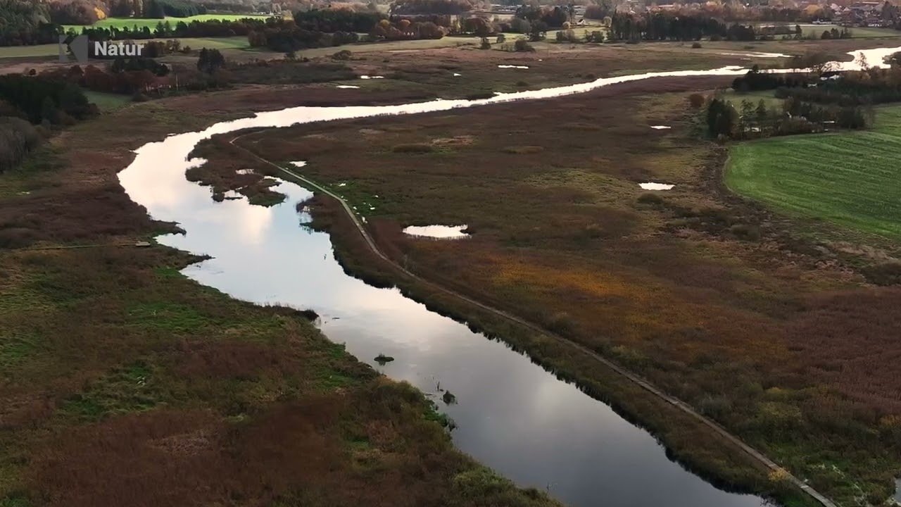 Det Skønne Midtvest : Natura 2000 del 1