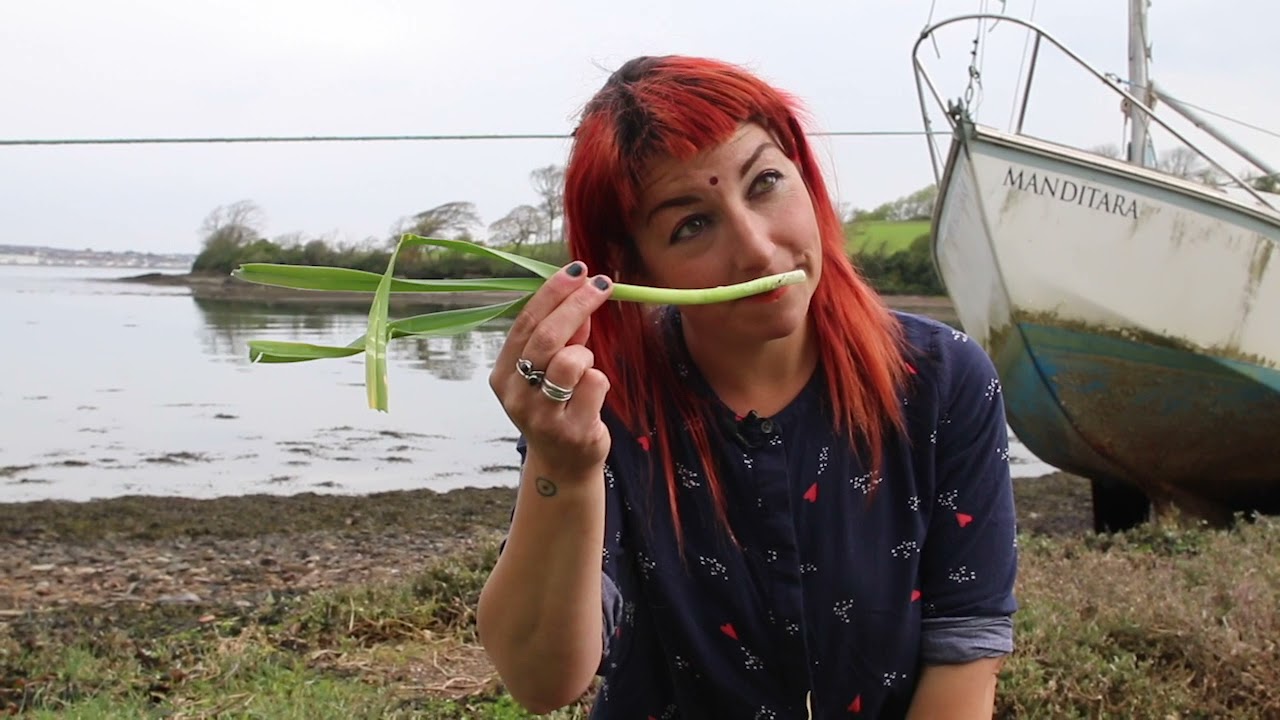 Virtual Foraging  - Wild Food By The Lakeside, Episode 6