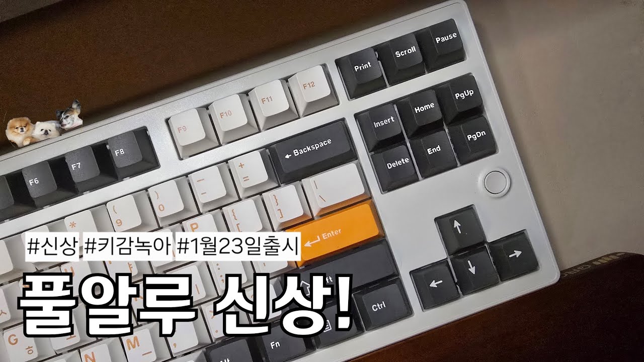 [나눔] 풀알루 신상 키보드는 못참아 | 앱코 AR87G 리치베리 ASMR
