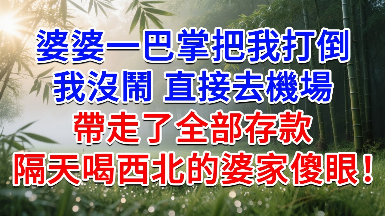 婆婆一巴掌把我打倒，我沒鬧直接去機場，帶走了全部存款，隔天喝西北的婆家傻眼了！#為人處世#生活經驗#情感故事#故事#小說#戀愛#情感#婚姻