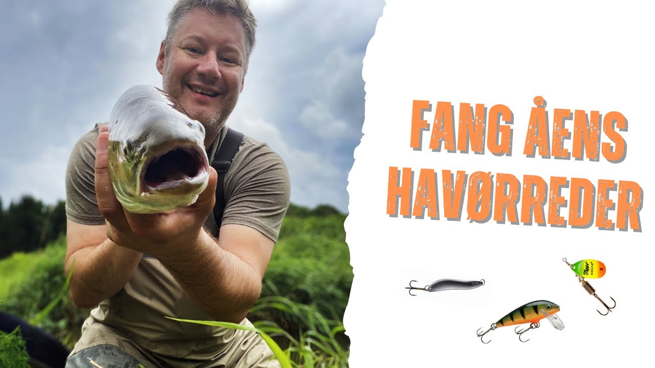 Havørredfiskeri i åen - Sæson, vejr og agn - Åfiskeri  🎣