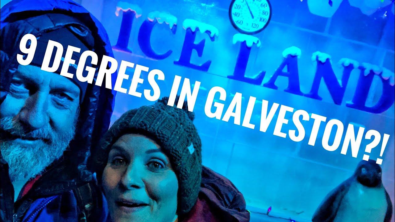 Galveston, Texas, Winter Wonderland And Dolphins! Full Time Van Life!