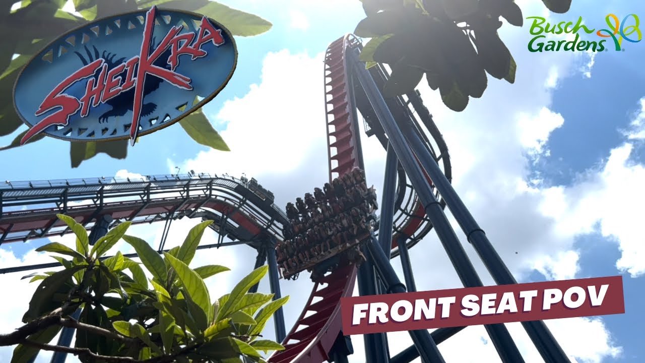 Sheikra 4K On Ride POV | Busch Gardens