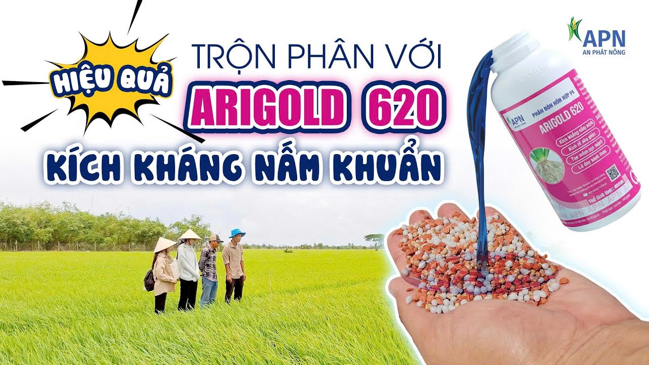 APN - HIỆU QUẢ TRỘN PH&Acirc;N VỚI ARIGOLD K&Iacute;CH KH&Aacute;NG NẤM KHUẨN