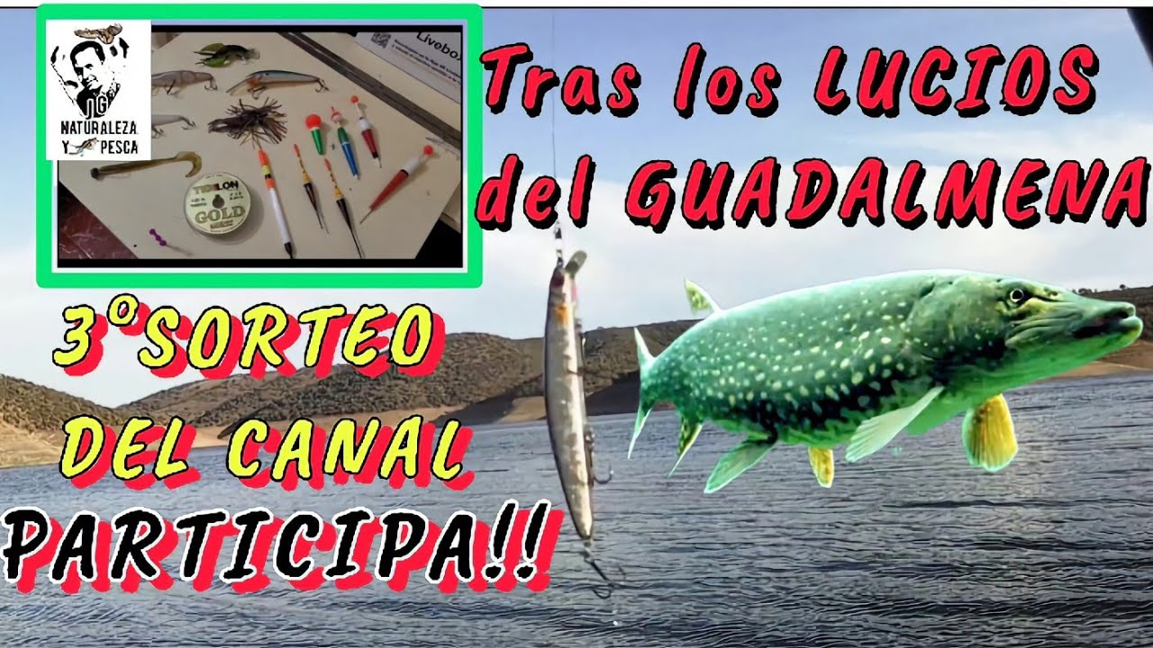 🥶SALIDA de PESCA en BUSCA de LUCIOS en el EMBALSE del GUADALMENA en INVIERNO DESDE ORILLA a SPINNING