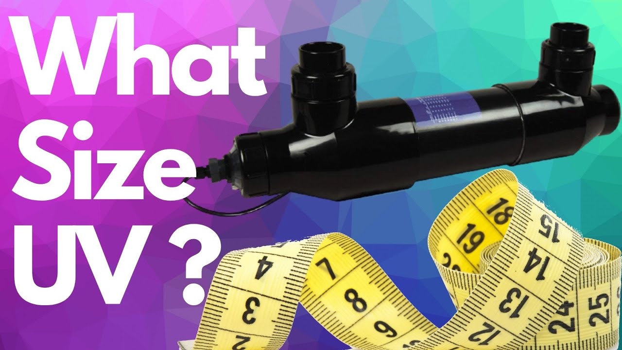 What Size UV Steriliser Do I Need?