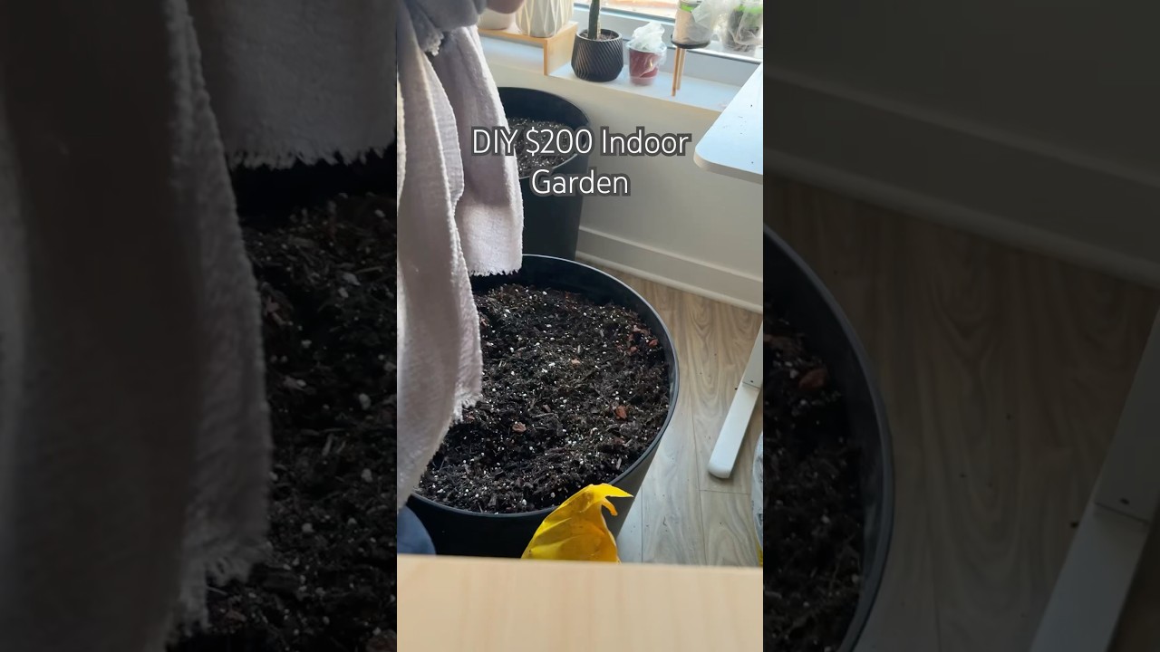 DIY Indoor Garden #shorts #garden #indoorplants #plants #houseplants #gardening #plantcare