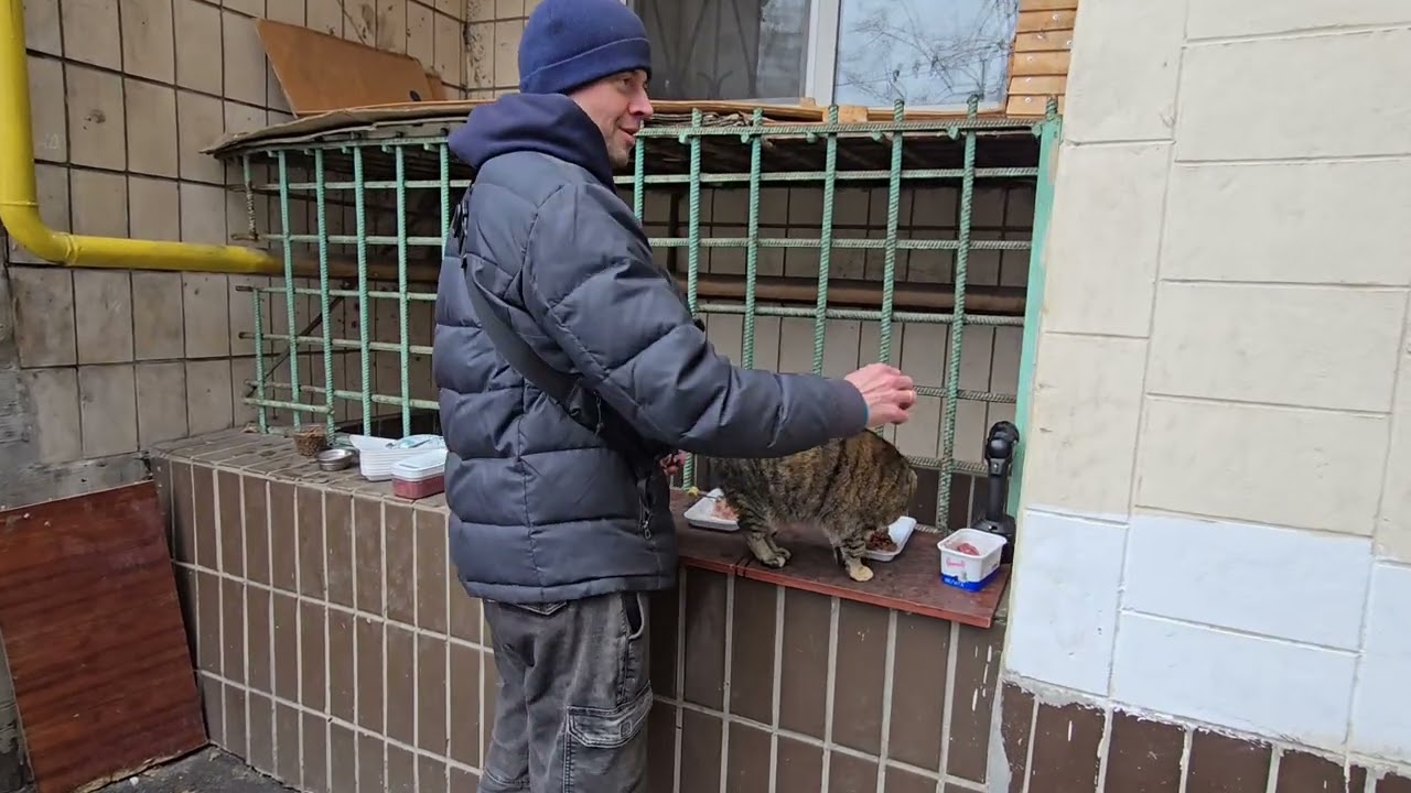 ВАЖЛИВО! ДАВАЙТЕ, ПОГОВОРИМО ПРО РАЦІОН КОТМКІВ!
