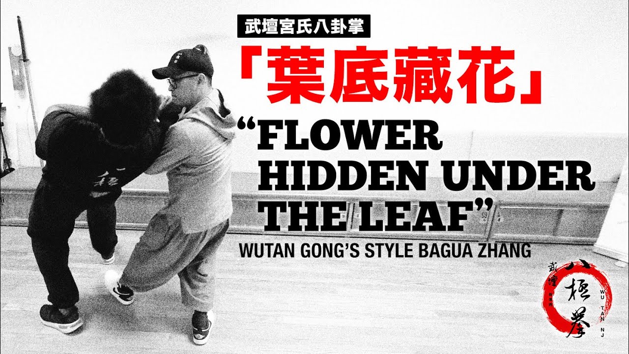 武壇宮氏八卦掌「葉底藏花」WuTan Gong’s Bagua “Flower Hidden Under Leaf”