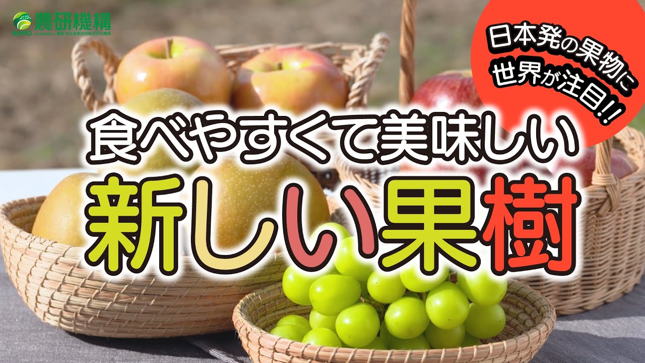 食べやすくて美味しい新しい果樹～日本発の果物に世界が注目～