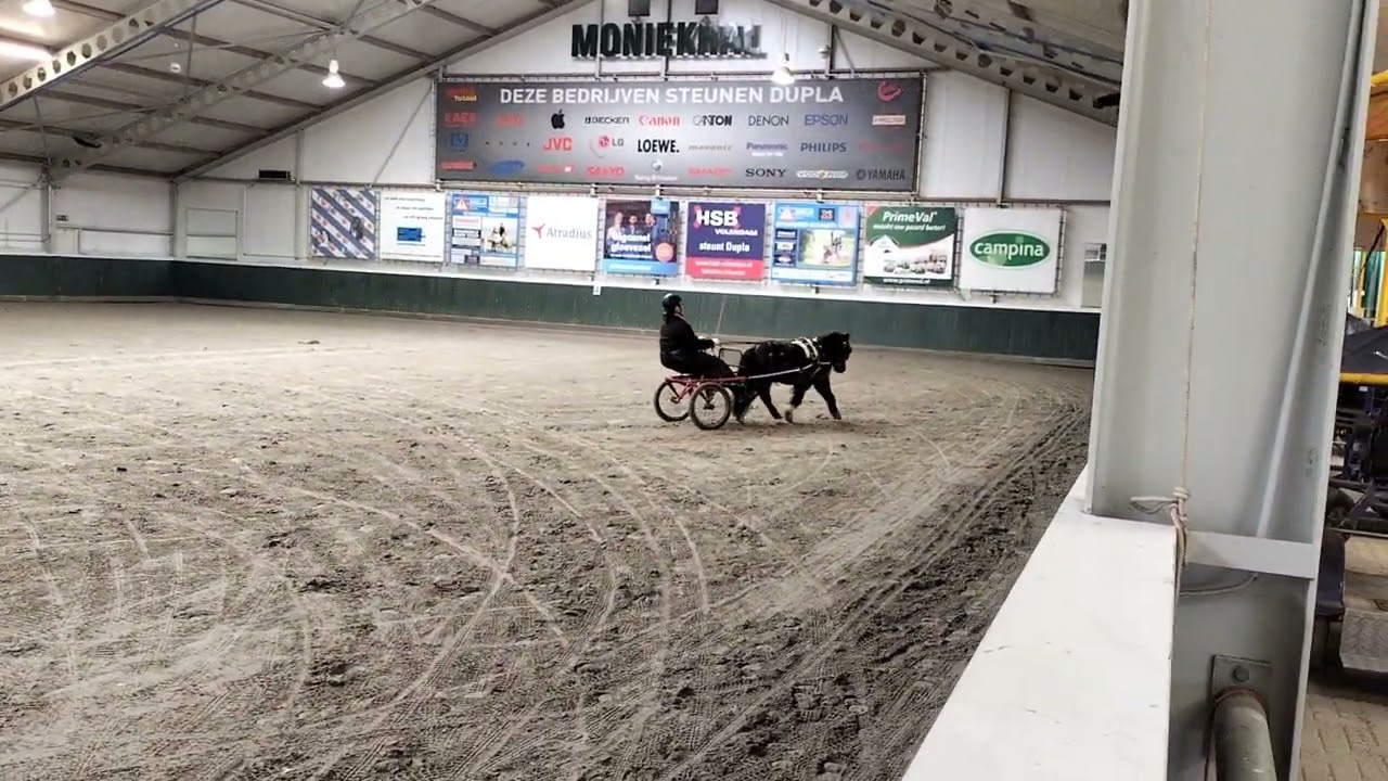 Ebony van stal Denci, B dressuur proef 73, 193 punten, gereden door Melissa Andrea - Luiten