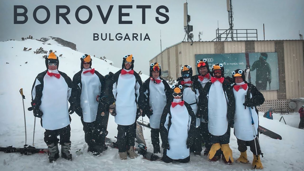 Penguins in Borovets | Joe's Stag