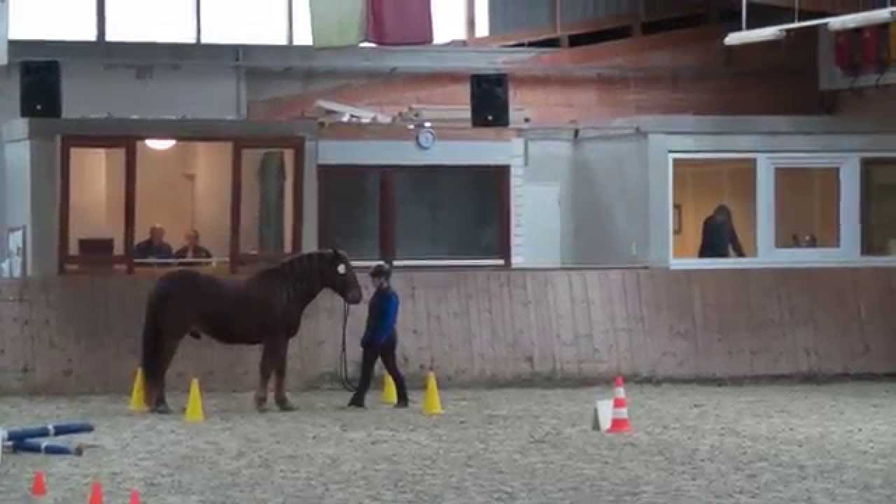 geführte GHP Prüfung