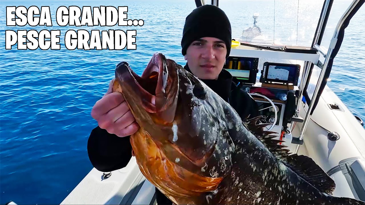 VERTICAL BALL FA IMPAZZIRE PESCI E PESCATORI