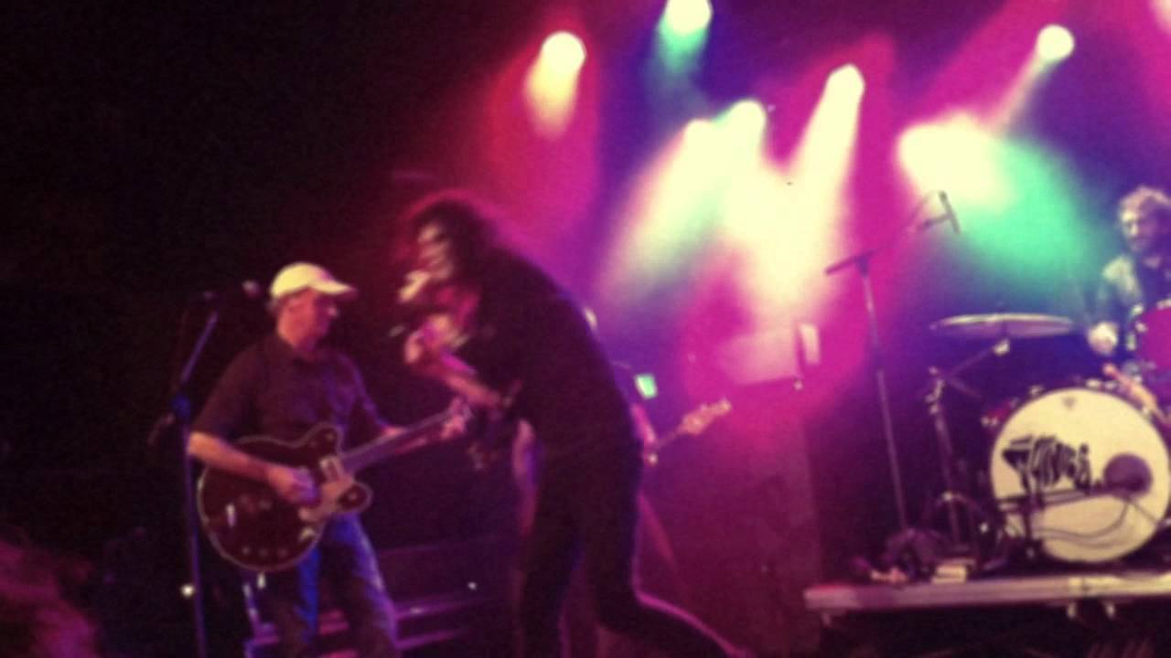 the Cynics -  